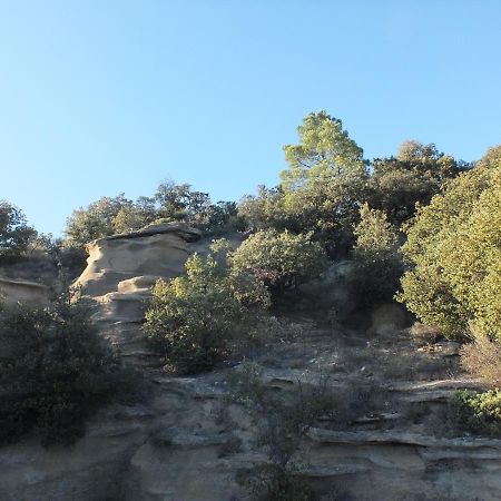 Une Ronce Sous Le Figuier Rousset-les-Vignes Exterior photo